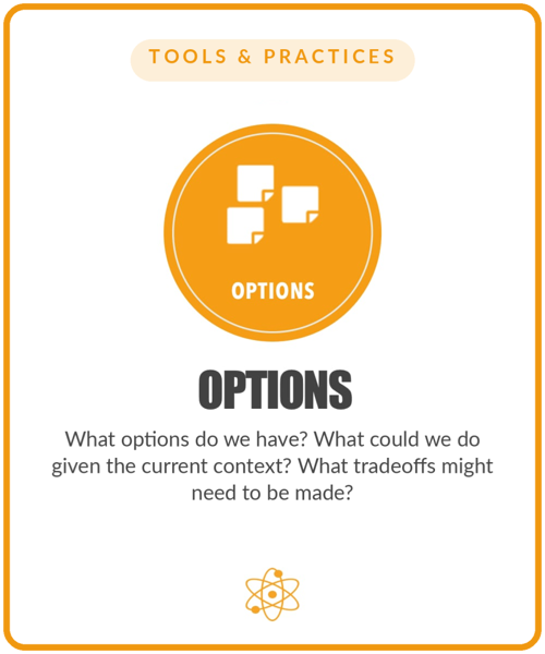 The Options element card